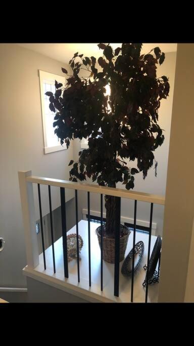 Cozy And Beautiful 3 Bedroom House Close To Villa
